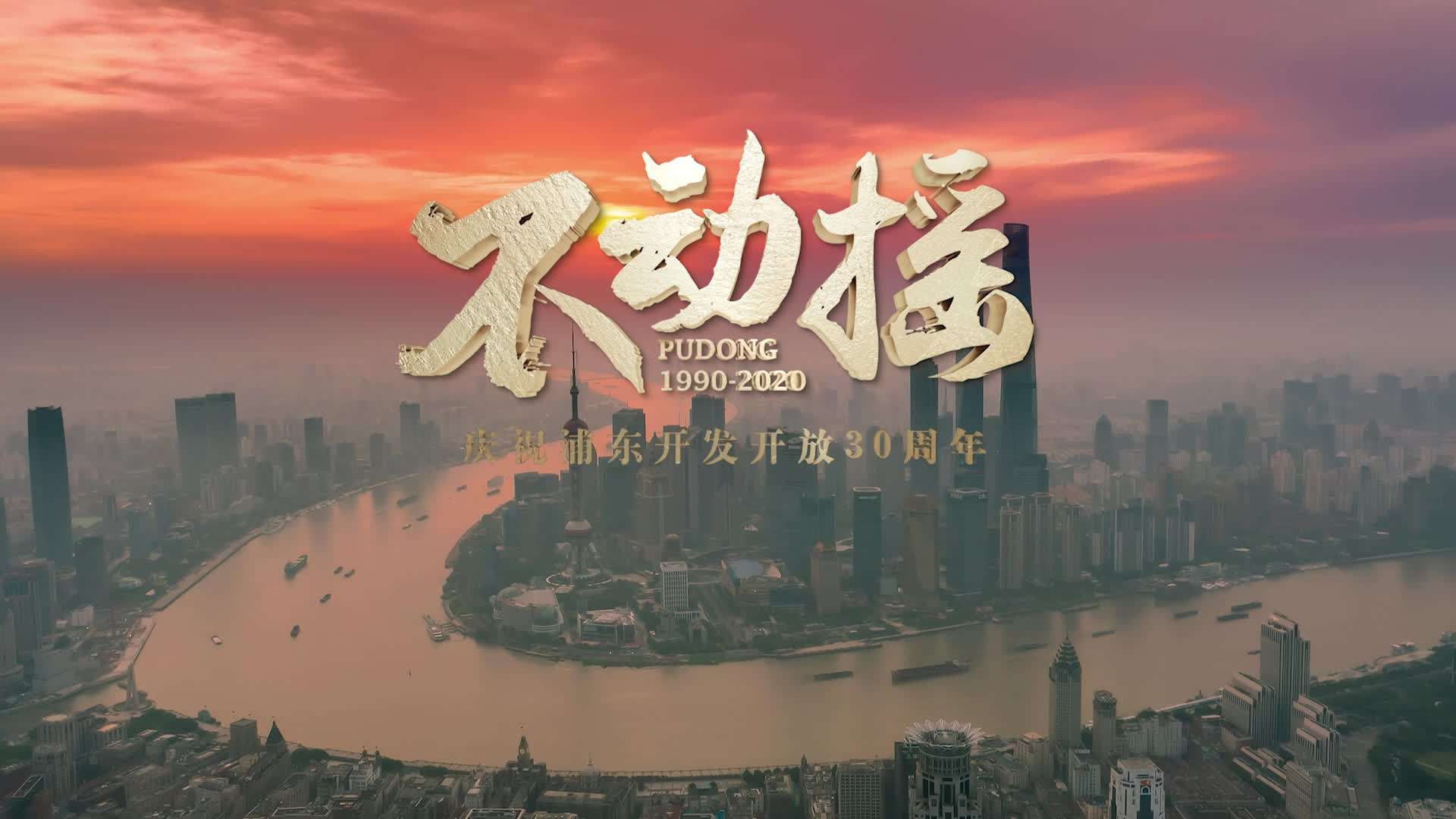 习近平：浦东未来该如何规划